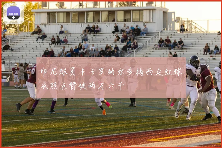 印尼球员卡卡罗纳尔多梅西走红球衣照点赞破两万六千